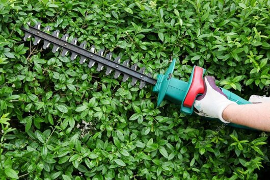 Gärtner schneidet eine hohe Hecke